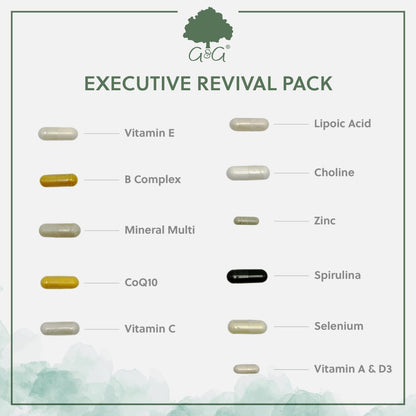 G&G 28 Day Executive Revival Supplement Pack